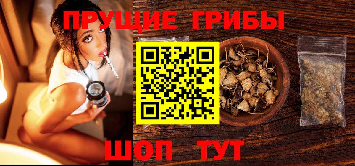 Псилоцибиновые грибы прущие грибы  что такое   Псилоцибиновые грибы мицелий  Мценск  Вход с VPN 