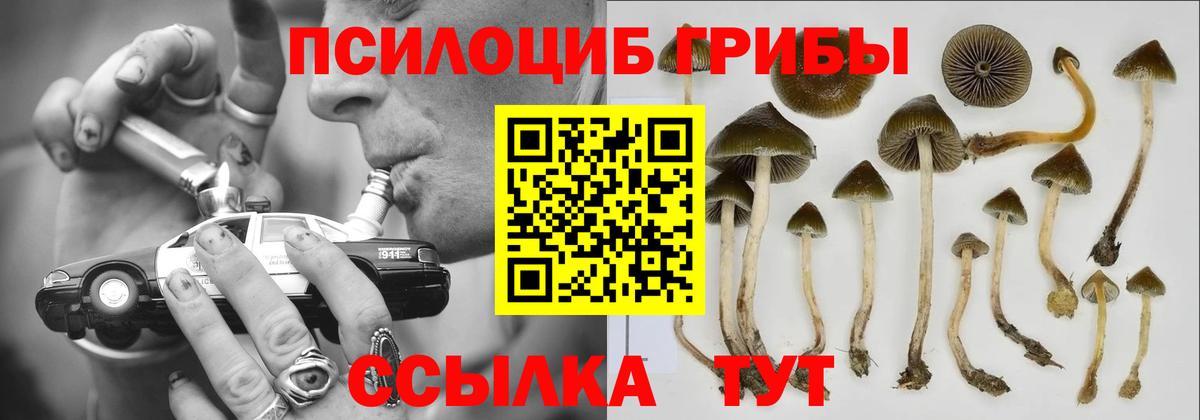 Псилоцибиновые грибы прущие грибы Мценск
